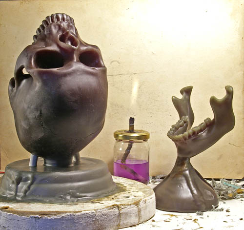 Wax Skull and Jaw Life size Wax Skull and Jaw